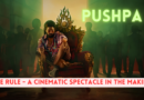 Pushpa 2: The Rule – A Cinematic Spectacle in the Making